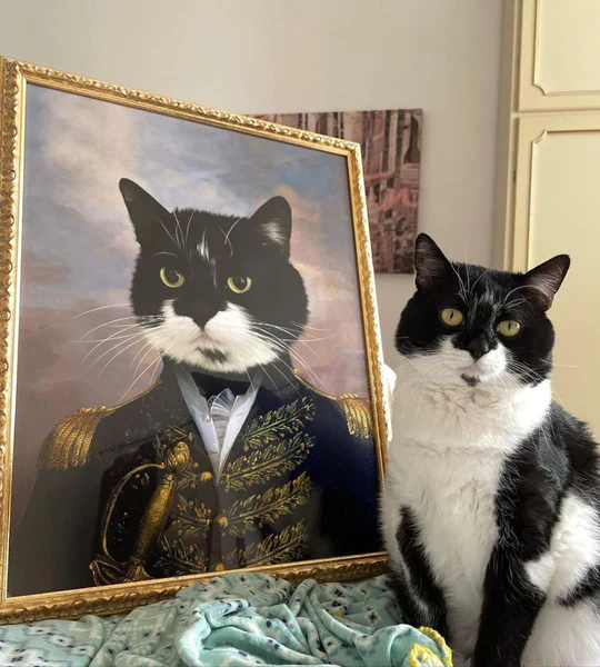 Rotating Portrait Example